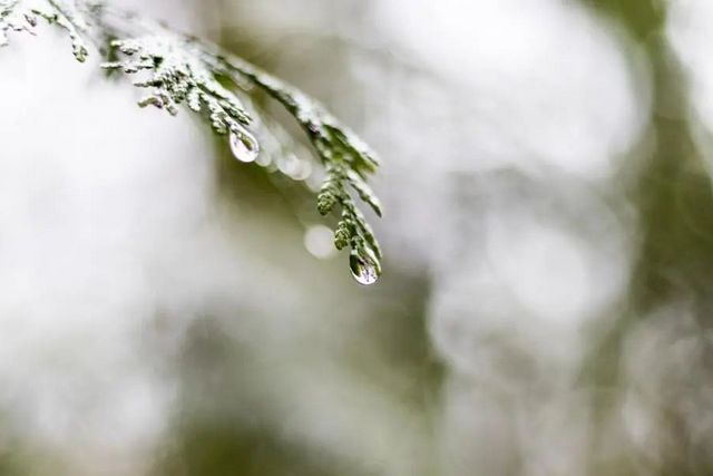 空气湿度大带来的危害有哪些，你知道吗？