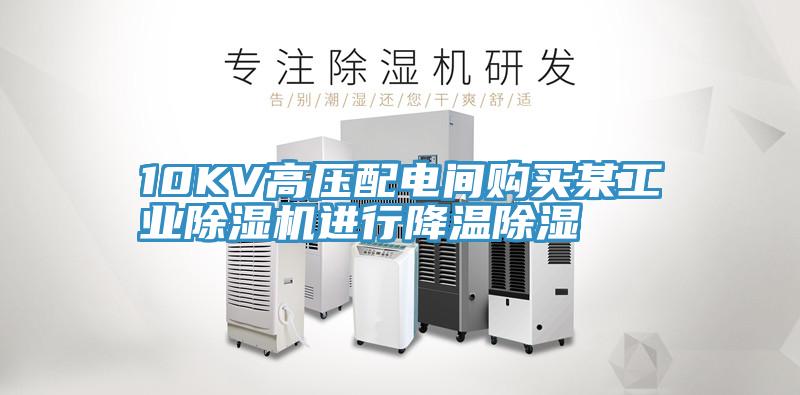 10KV高压配电间购买某工业粉色应用黄色软件进行降温除湿