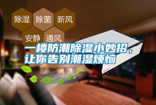 一楼防潮除湿小妙招，让你告别潮湿烦恼