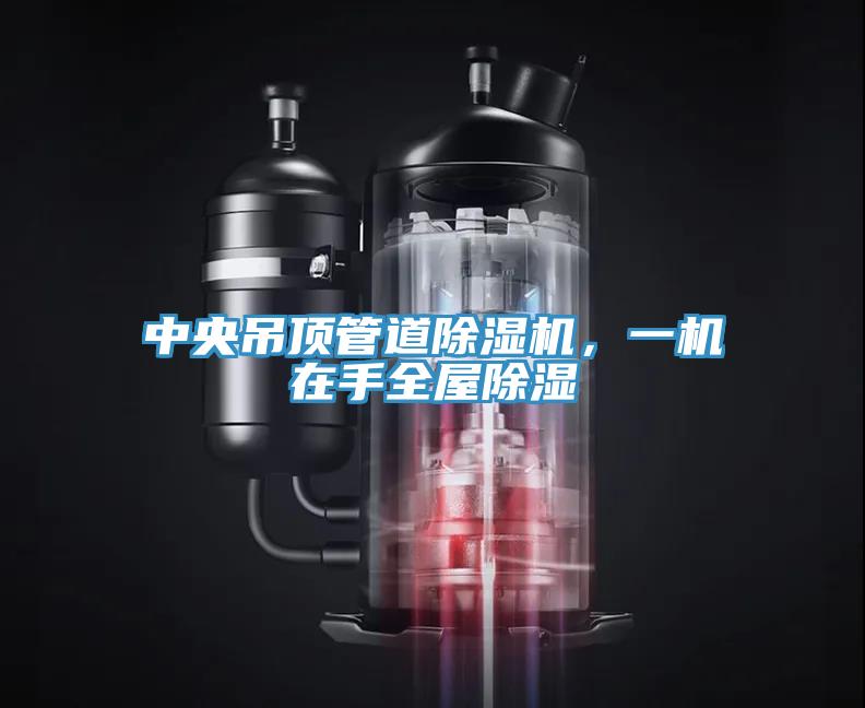 中央吊顶管道粉色应用黄色软件，一机在手全屋除湿