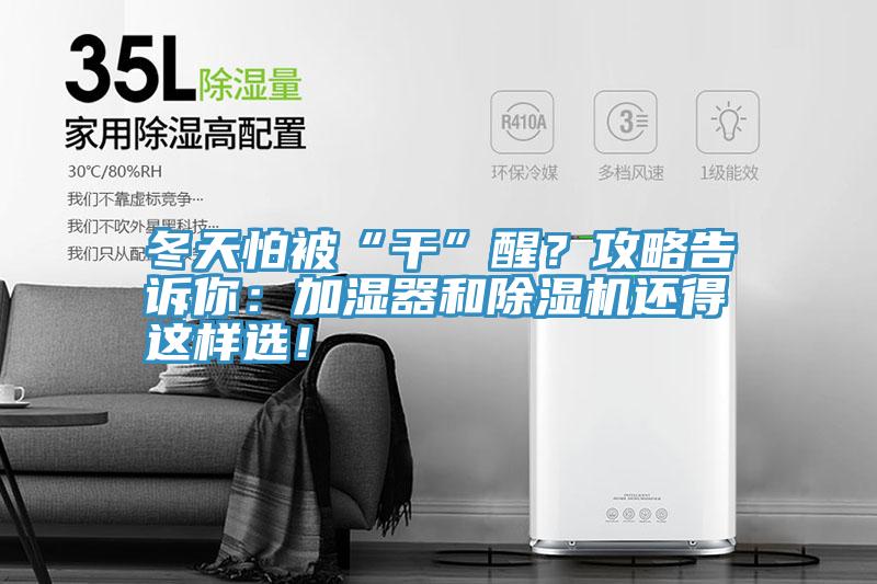 冬天怕被“干”醒？攻略告诉你：加湿器和粉色应用黄色软件还得这样选！