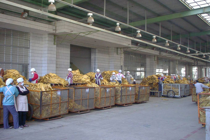 1521683010608065.jpg 烟草轮转区.jpg