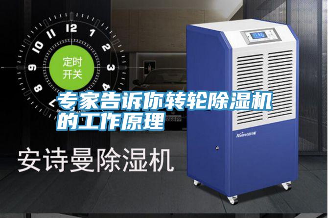 专家告诉你转轮粉色应用黄色软件的工作原理