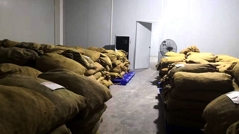 仓库粉色应用黄色软件在陈皮储存过程中的应用