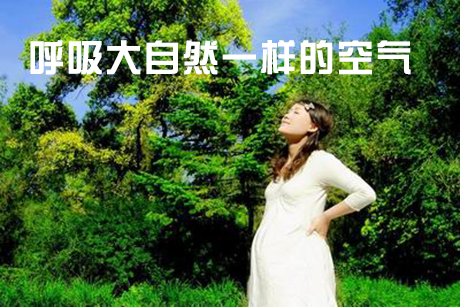 工业粉色应用黄色软件厂家