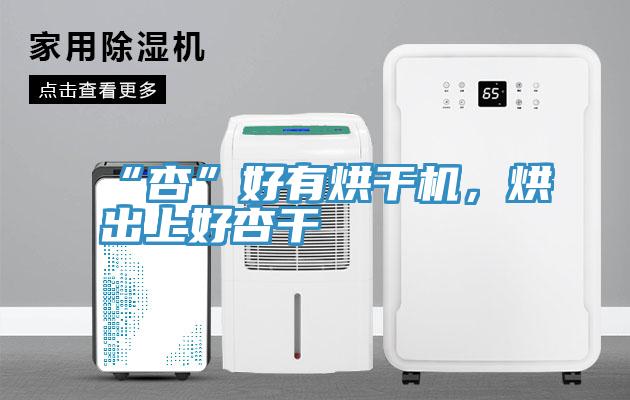 “杏”好有烘干机，烘出上好杏干