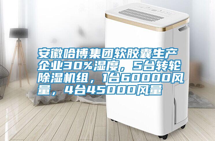 安徽哈博集团软胶囊生产企业30%湿度，5台转轮粉色应用黄色软件组，1台60000风量，4台45000风量