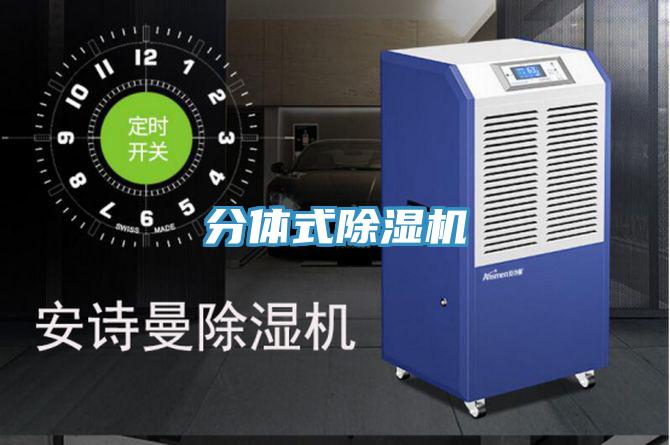 分体式粉色应用黄色软件