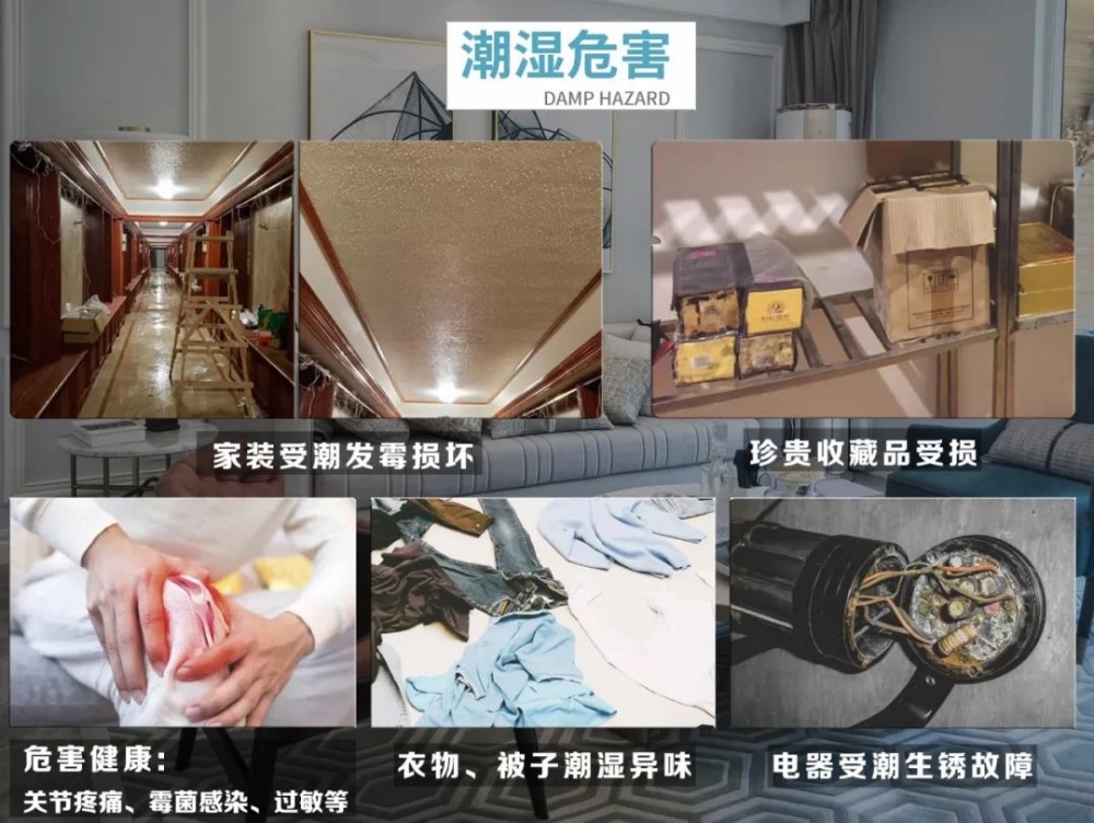 粉色应用黄色软件