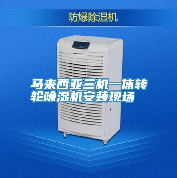 马来西亚三机一体转轮粉色应用黄色软件安装现场