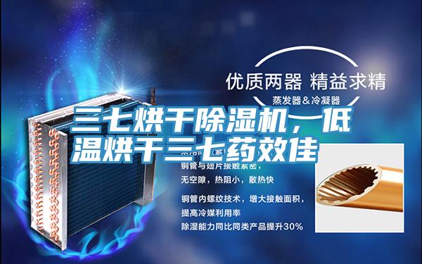 三七烘干粉色应用黄色软件，低温烘干三七药效佳