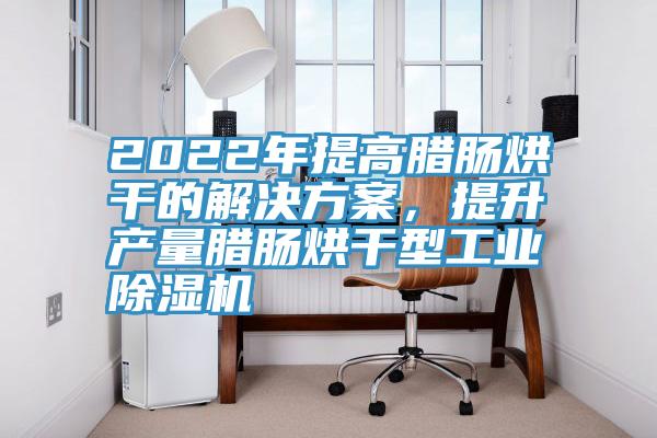 2022年提高腊肠烘干的解决方案，提升产量腊肠烘干型工业粉色应用黄色软件