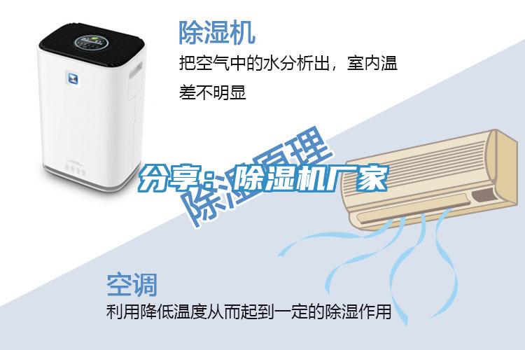 分享：粉色应用黄色软件厂家