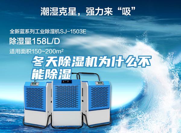 冬天粉色应用黄色软件为什么不能除湿