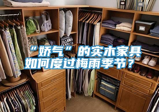 “娇气”的实木家具如何度过梅雨季节？