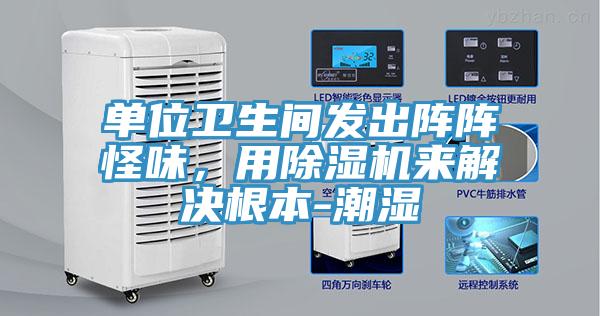 单位卫生间发出阵阵怪味，用粉色应用黄色软件来解决根本-潮湿