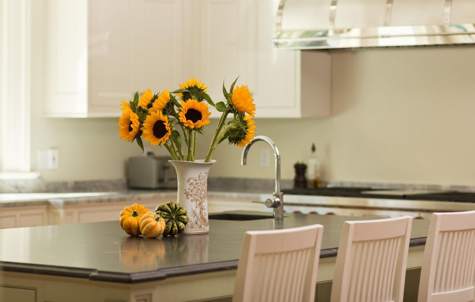 你家里的环境是太干燥还是太潮湿？