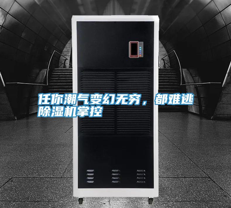 任你潮气变幻无穷，都难逃粉色应用黄色软件掌控