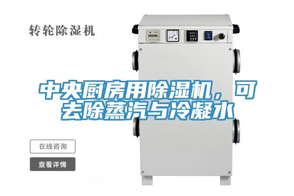 中央厨房用粉色应用黄色软件，可去除蒸汽与冷凝水