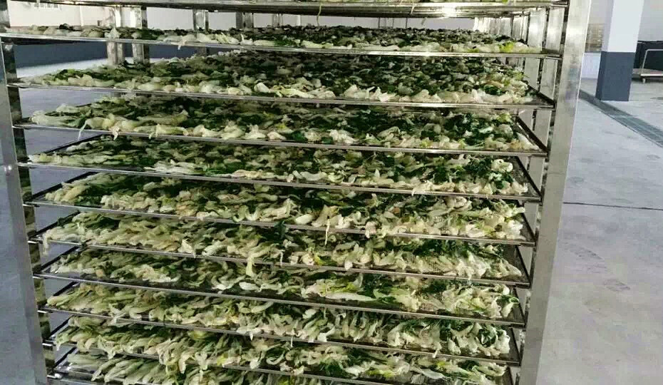菜干需求一直都很大，蔬菜烘干机很有市场