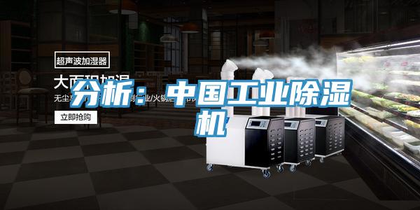 分析：中国工业粉色应用黄色软件