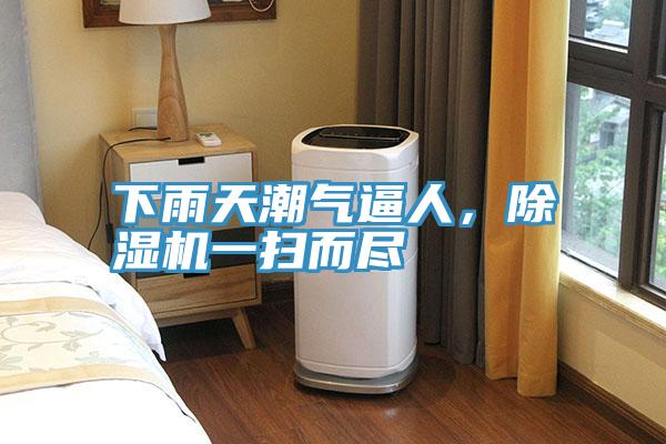 下雨天潮气逼人，粉色应用黄色软件一扫而尽