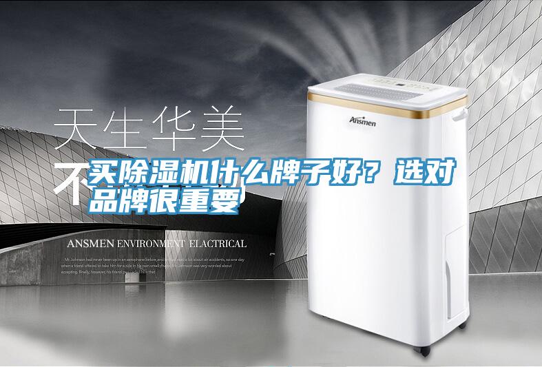 买粉色应用黄色软件什么牌子好？选对品牌很重要