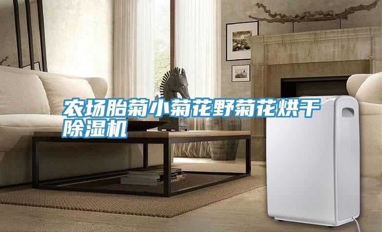 农场胎菊小菊花野菊花烘干粉色应用黄色软件