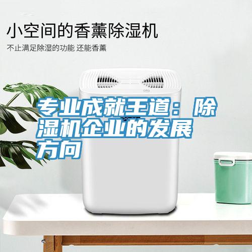 专业成就王道：粉色应用黄色软件企业的发展方向