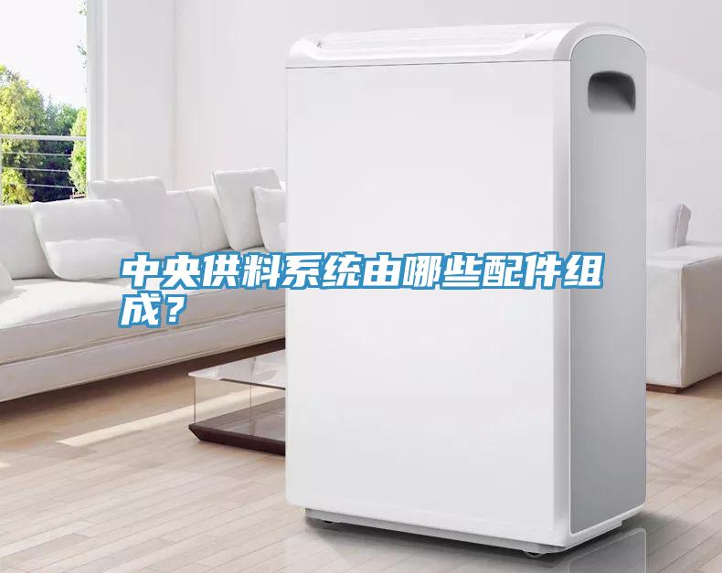 中央供料系统由哪些配件组成？