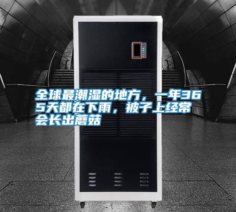全球最潮湿的地方，一年365天都在下雨，被子上经常会长出蘑菇