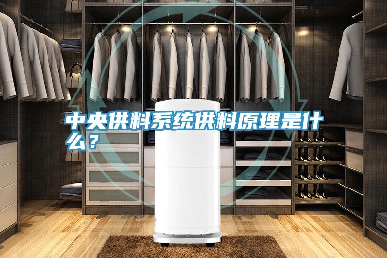 中央供料系统供料原理是什么？