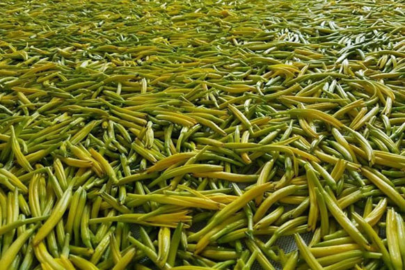 无硫金针菜烘干如何保持品相？不发黑？_粉色应用黄色软件厂家