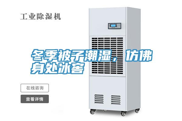 冬季被子潮湿，仿佛身处冰窖