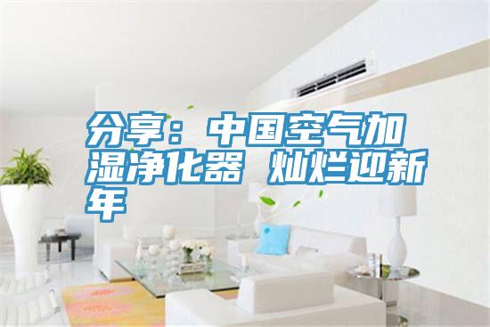 分享：中国空气加湿净化器 灿烂迎新年