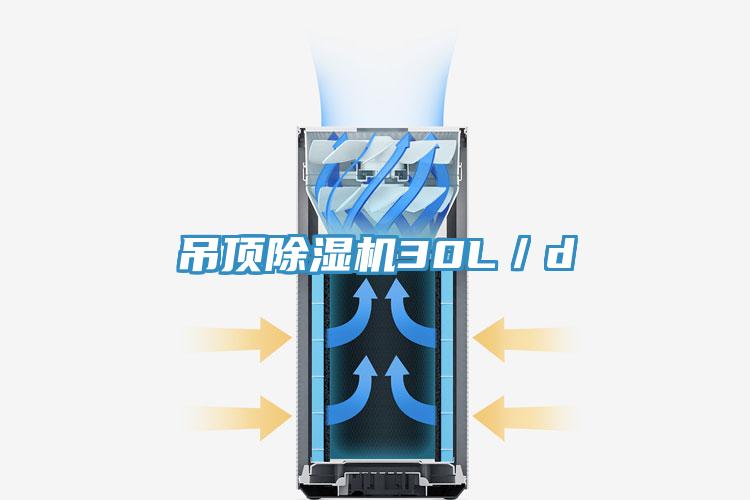 吊顶粉色应用黄色软件30L／d