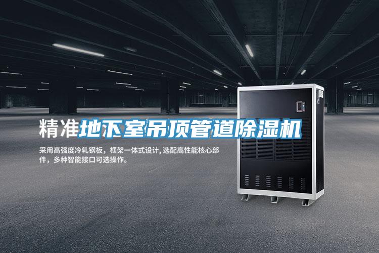 地下室吊顶管道粉色应用黄色软件