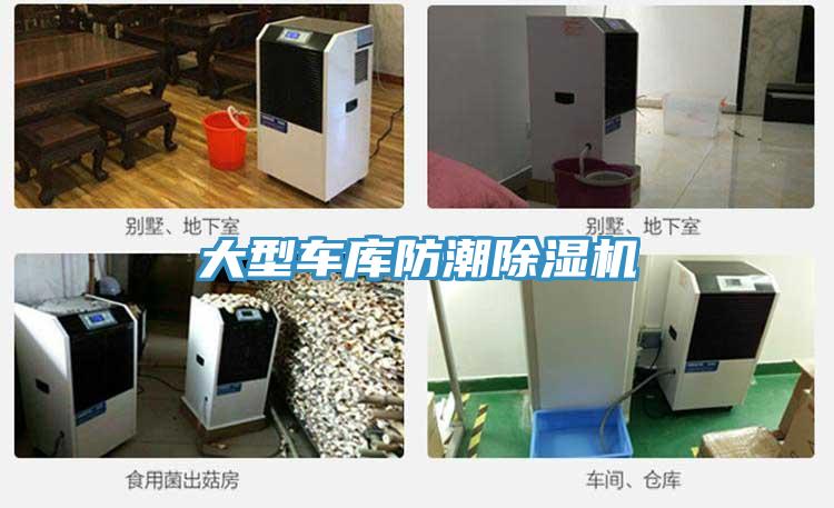 大型车库防潮粉色应用黄色软件