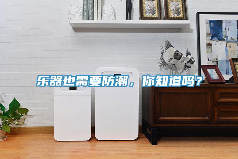 乐器也需要防潮，你知道吗？