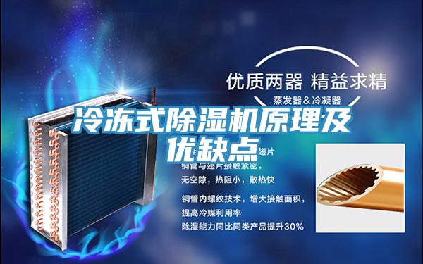 冷冻式粉色应用黄色软件原理及优缺点