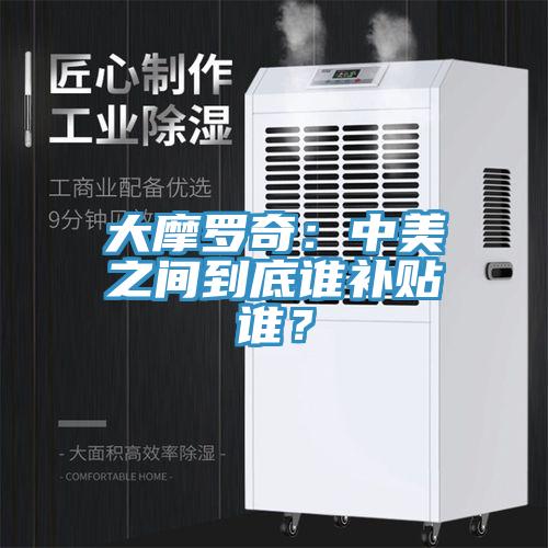 大摩罗奇：中美之间到底谁补贴谁？