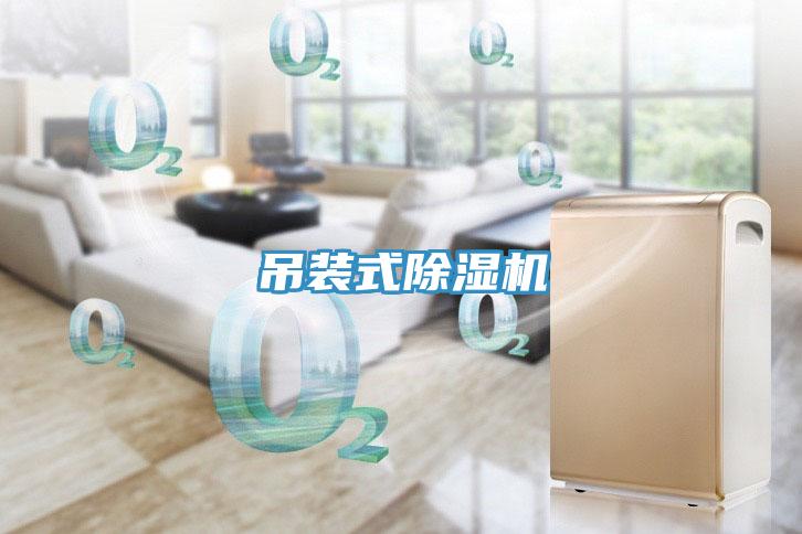 吊装式粉色应用黄色软件