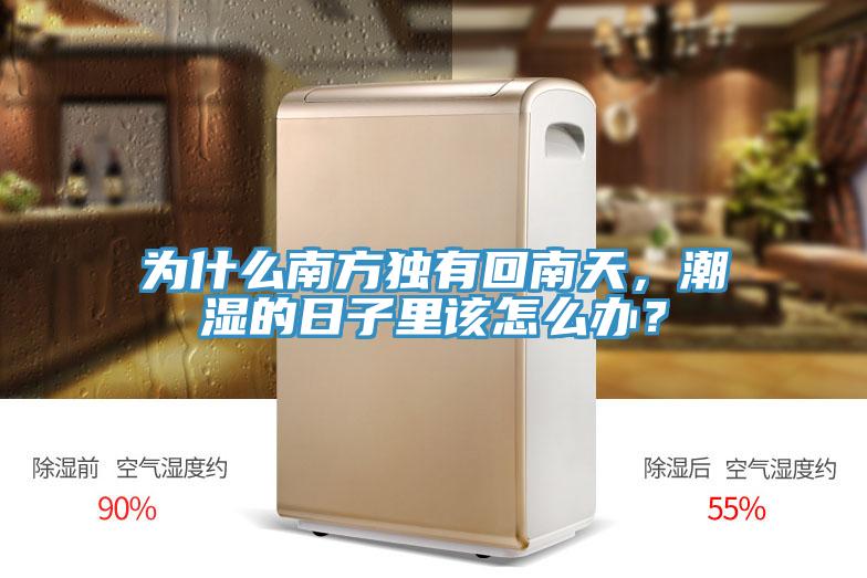 为什么南方独有回南天，潮湿的日子里该怎么办？