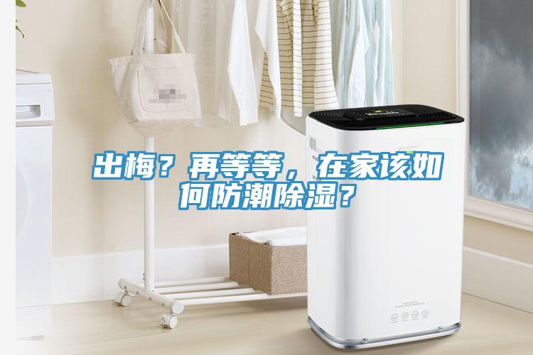 出梅？再等等，在家该如何防潮除湿？