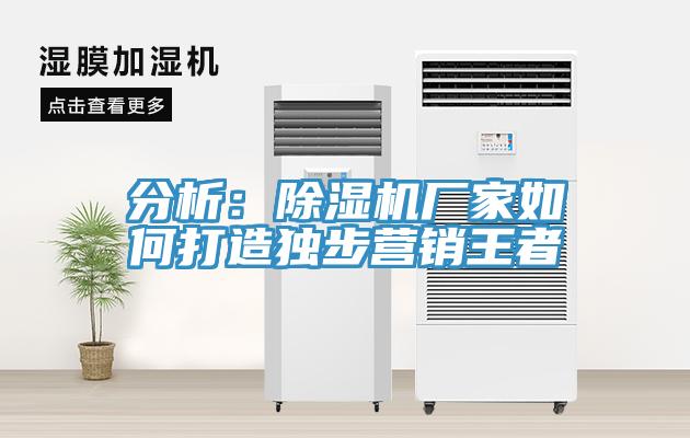 分析：粉色应用黄色软件厂家如何打造独步营销王者