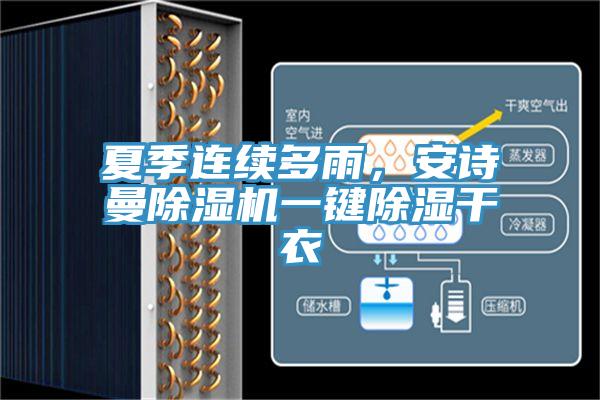 夏季连续多雨，粉色视频污下载粉色应用黄色软件一键除湿干衣