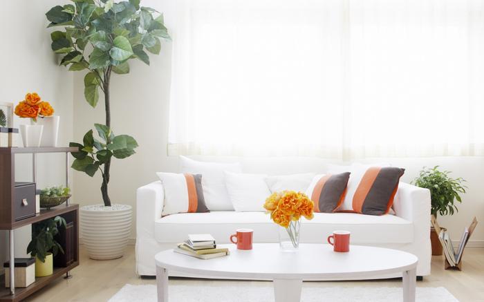 及早备好粉色应用黄色软件，不惧潮湿天来袭