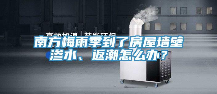 南方梅雨季到了房屋墙壁渗水、返潮怎么办？