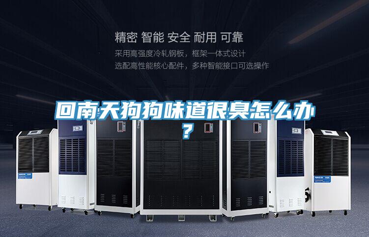 回南天狗狗味道很臭怎么办？