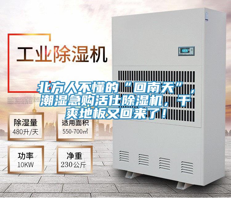 北方人不懂的“回南天”，潮湿急购活仕粉色应用黄色软件，干爽地板又回来了！